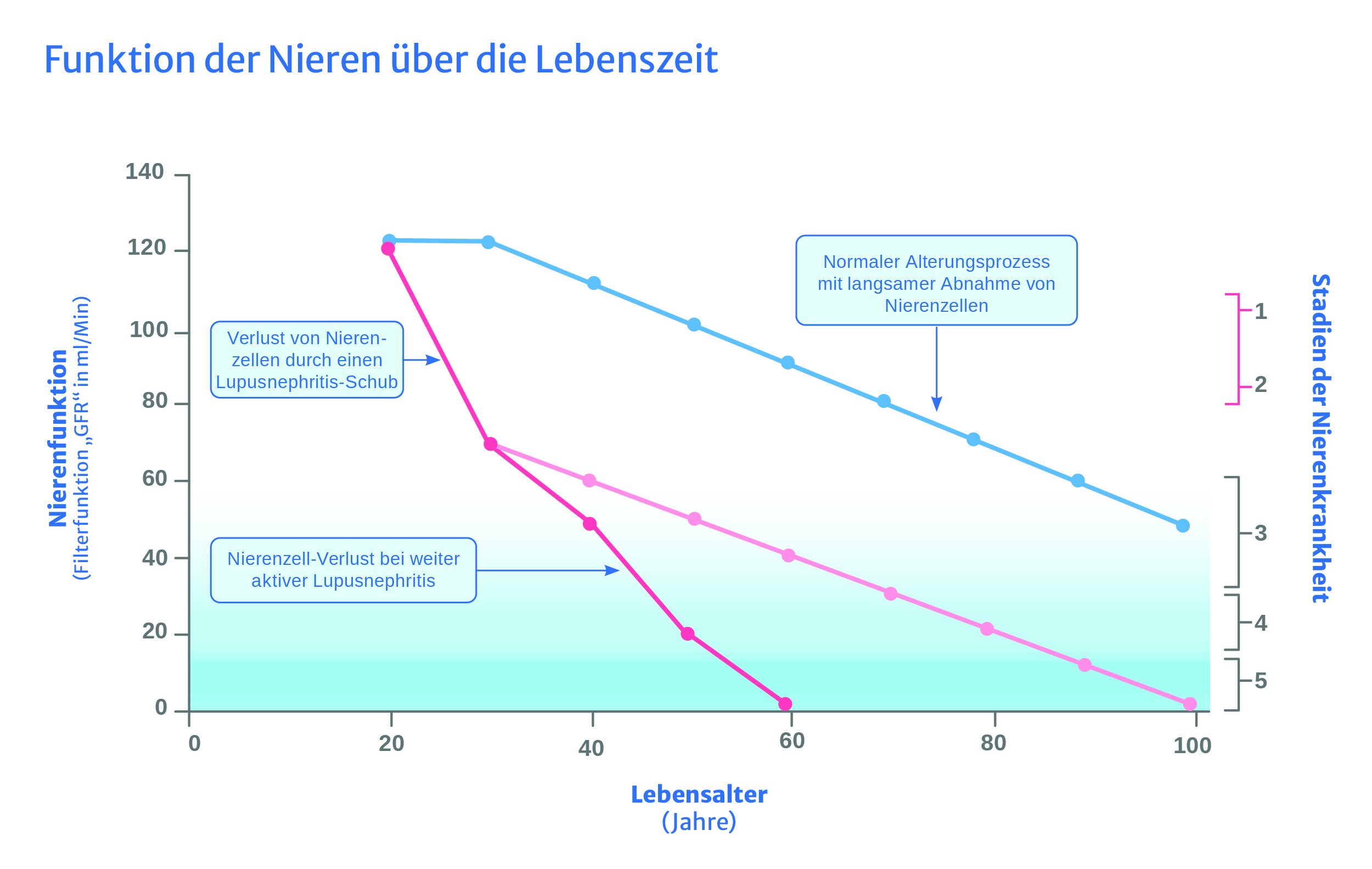 Therapieziele Lupuscheck Icon Finish-Line